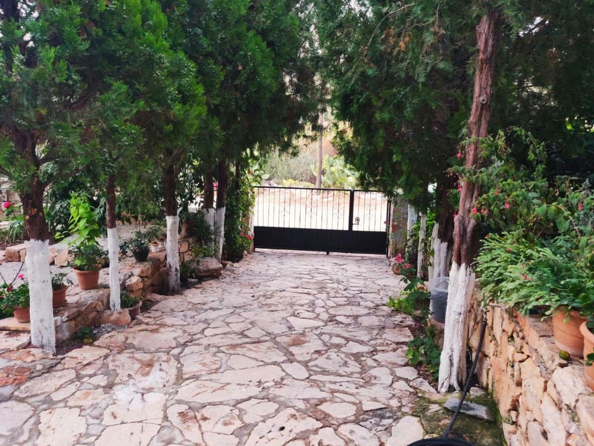 Olivia Homes Κας Εξωτερικό φωτογραφία